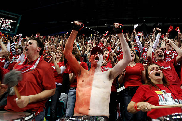 而焦泊乔的 而焦泊乔的